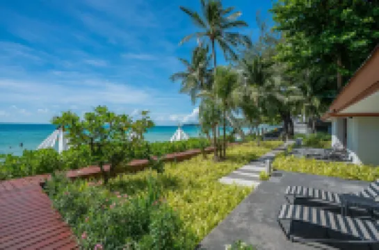 시너지 사무이 리조트