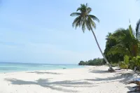 Lambug Beach Homestay - Beach