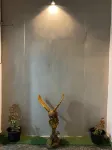Alhanney Housing - Pet-friendly