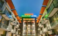 Front One Harvest Hotel Wonosobo