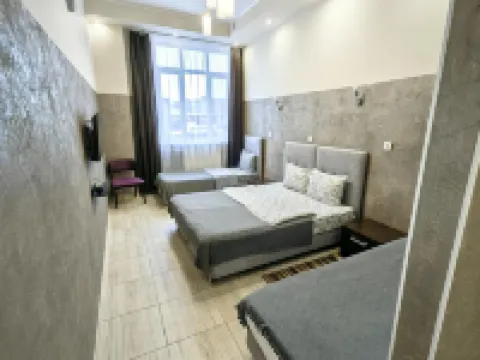 Milena Hotel Hotels in Pushkin