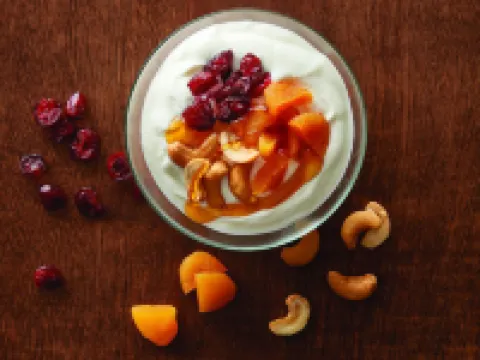 SpringHill Suites Tampa Suncoast Parkway Hotels in Pasco County