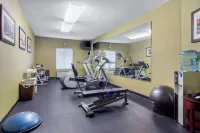 Comfort Inn & Suites Canton Riverstone Area - Træningscentre