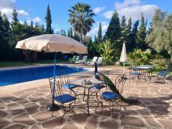 Riad Tanjil