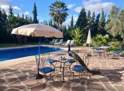 Riad Tanjil