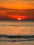 Phayam Coconut Beach Resort - Beach