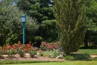 Hyatt Regency Atlanta Perimeter Villa Christina