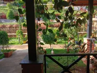 Junglevalley Homestay
