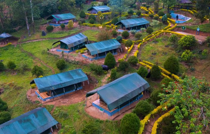 Nature Zone Munnar - A Real Jungle Resort - Authentic Tree House and Premium Tents