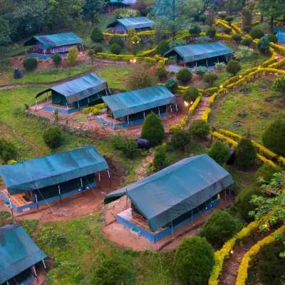Nature Zone Munnar - A Real Jungle Resort - Authentic Tree House and Premium Tents Hotels near Munnar