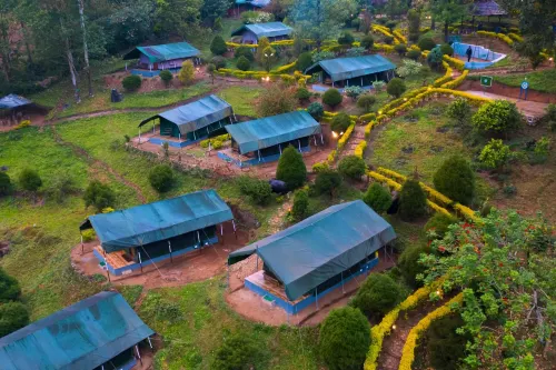 Nature Zone Jungle Resort- Experience the Wilderness & Adventure