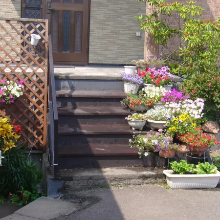 Minshuku Mutsukari