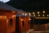 Guest House Ushba Gate Hotels in 
