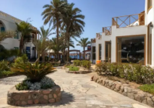 레드 시 릴랙스