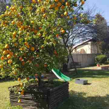 8 Ibis Lane Guest House Hotel Exterior