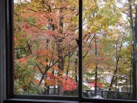 Heidihof Hotel - Mountain view