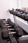 The Palms - Gym