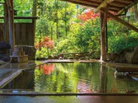 Ryokan Ohnuma - Hot Springs