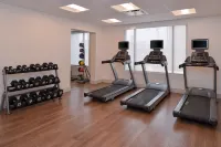 Holiday Inn Express & Suites INDIANAPOLIS DTN-CONV CTR AREA by IHG - Gym