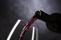 不來梅機場克魯索the niu假日酒店 - 酒吧