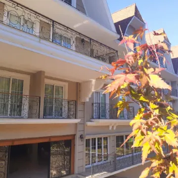 Daara Transamerica Collection Gramado