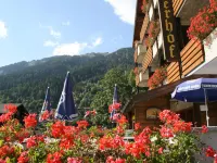Hotel Fiescherhof Hotels in Fiesch