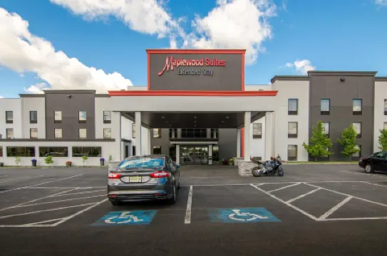 Holiday Inn & Suites SYRACUSE AIRPORT - LIVERPOOL by IHG Отели в г. Салина