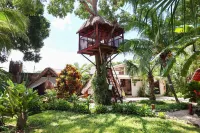 El Búho Bacalar Eco-Cabañas Hostal - Homestays