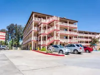 هرتدج إن لا ميسا Hotels near بحيرة موراي