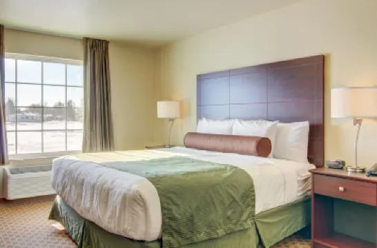 鵝卵石套房飯店 - 哈維 住宿飯店