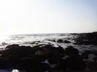 Island Inn Rishiri - Deniz Manzaralı
