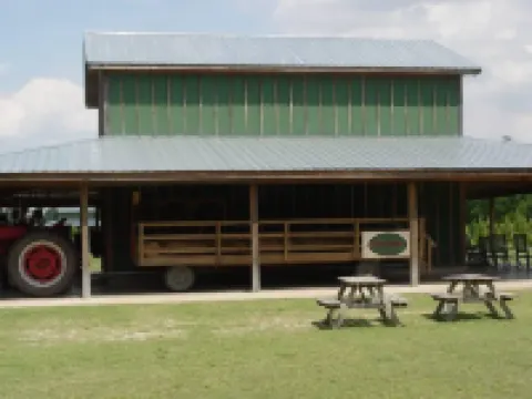 傑克森維爾萬楓套房酒店 昂斯洛縣酒店