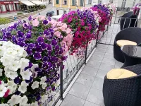 Hotel Stadt Melk Hoteles en Emmersdorf an der Donau