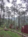 Locca Lodge Các khách sạn ở Trawas