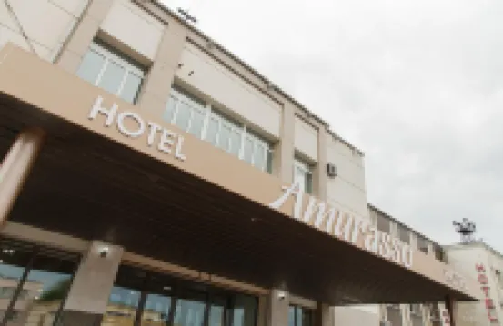 Амурассо Отели в г. 