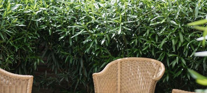 Boutique Rooms 3 0 Ξενοδοχεία στην πόλη Ferrara