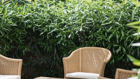 Boutique Rooms 3 0 in Ferrara