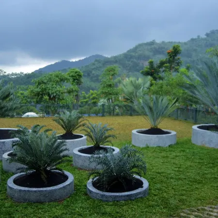 Sarga Earthing Resort