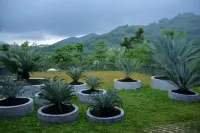 Sarga Earthing Resort - バー