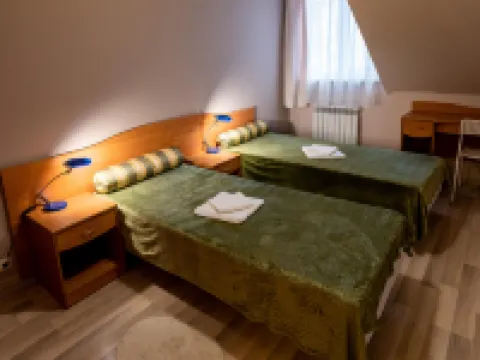IST River Hotel Hotels in Borovsky District