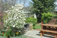 Alexandra Garden Court Motel Hotels in Alexandra