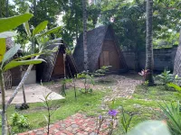 Dive Camp Hotels in Dauin