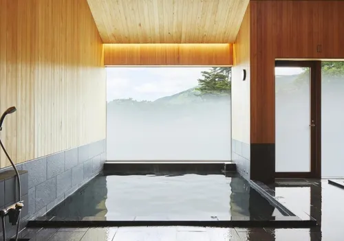 Zao Liza Woody Lodge -  Holiday Villas