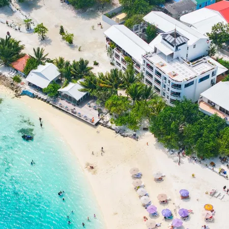 Rashu Hiyaa