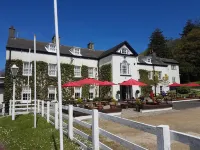 Llwyngwair Manor, Newport, Pembrokeshire Hotels in 