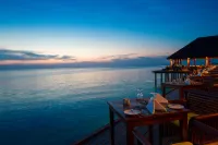 Summer Island Maldives - bar