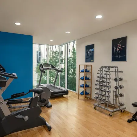 Ibis Sharq