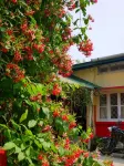 Gibbon Backpackers Hostel - hostel