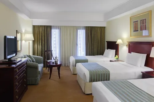 فندق المدينة الجديدة