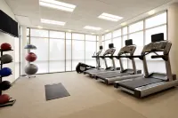 SpringHill Suites Allentown Bethlehem/Center Valley - Træningscentre